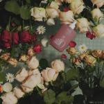 Відновлюючий шампунь для волосся anillO Rosy Night Repair Shampoo 450 мл