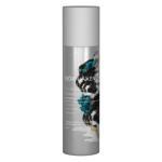 Сухий шампунь "Насичена Амбра" Bjorn Axen Dry Shampoo Rich Amber